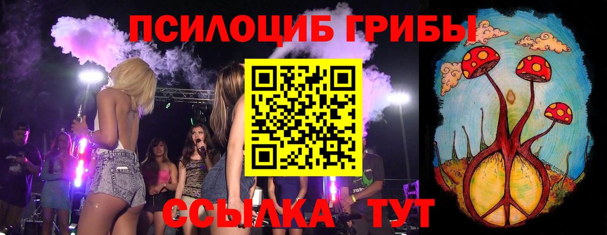 Ачхой-Мартан  цены   Вход с VPN  Псилоцибиновые грибы Psilocybe 